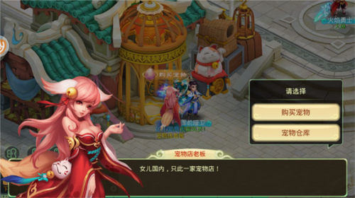 西游女儿国宠物系统1