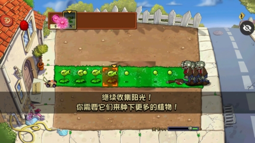 植物大战僵尸B版支线宣传图