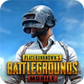 pubg印度服官方版