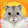 HamSato安卓版