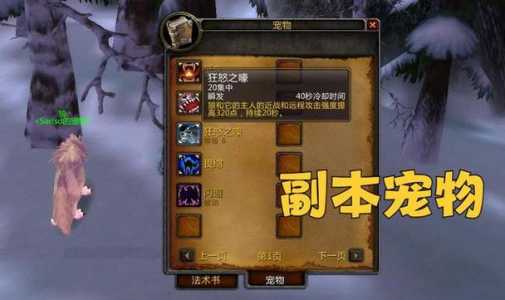 魔兽世界宠物怎么升级?