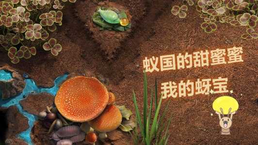 小蜥蜴救援游戏攻略，小蜥蜴救援游戏攻略大全