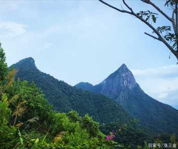 冬季去尖峰岭热带雨林旅行,有哪些详细的攻略值得分享?