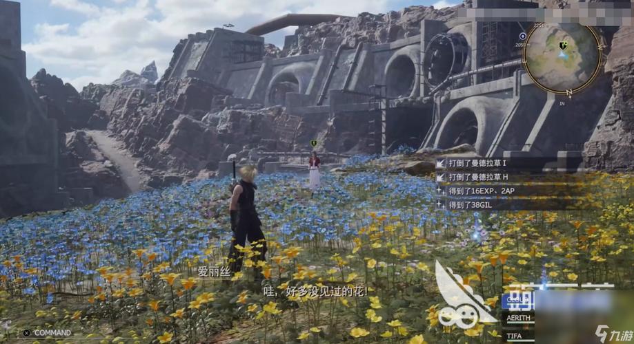 最终幻想7重生心意的形式任务怎么做