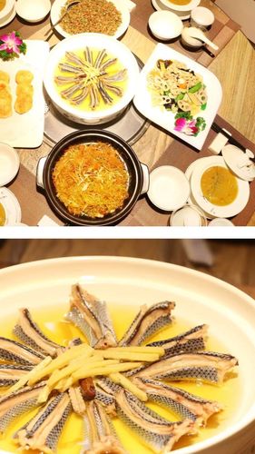 蛇上而生食谱有哪些-蛇上而生食谱大全介绍