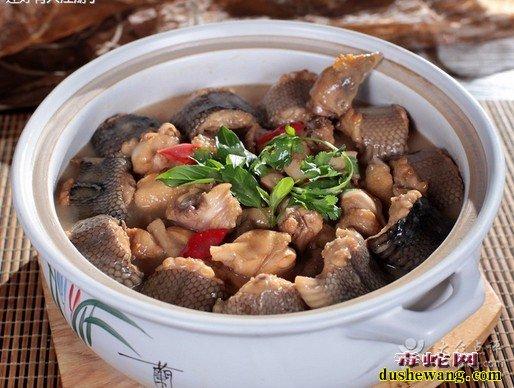 蛇上而生食谱有哪些-蛇上而生食谱大全介绍