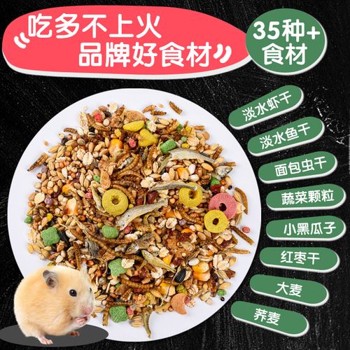 鼠托邦食物该如何获取-食物获取方式介绍