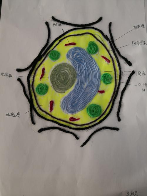 亚洲之子生物老师怎么攻略-生物老师攻略流程