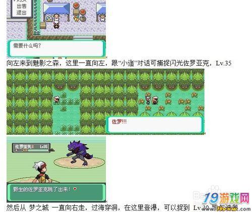 口袋妖怪漆黑的魅影完美阵容怎么搭配-完美阵容搭配推荐