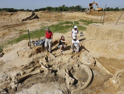 战国王朝采石场怎么建造-采石场建造方法一览