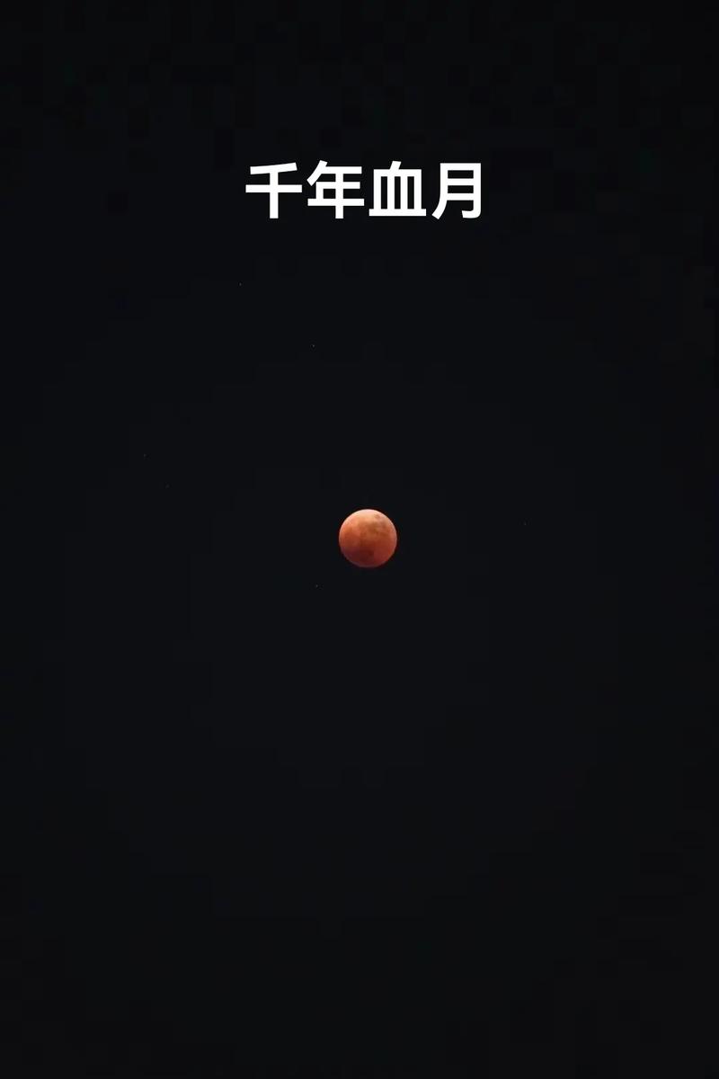 遗迹2血月精华在哪刷-血月精华获取方式一览