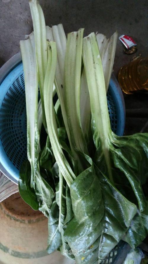 缺氧沼泽甜菜有什么用-沼泽甜菜用处介绍