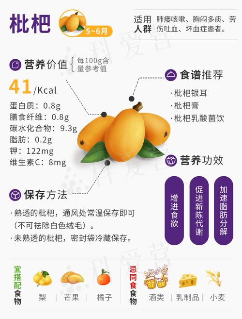 狂野之心食材该怎么进行搭配-食材搭配推荐一览