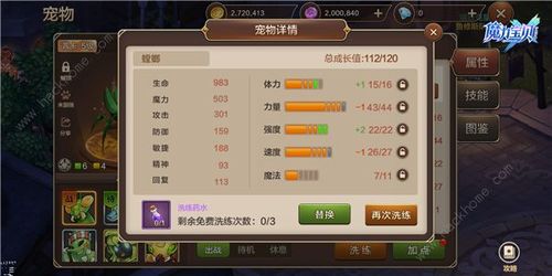 宠物选择与培养