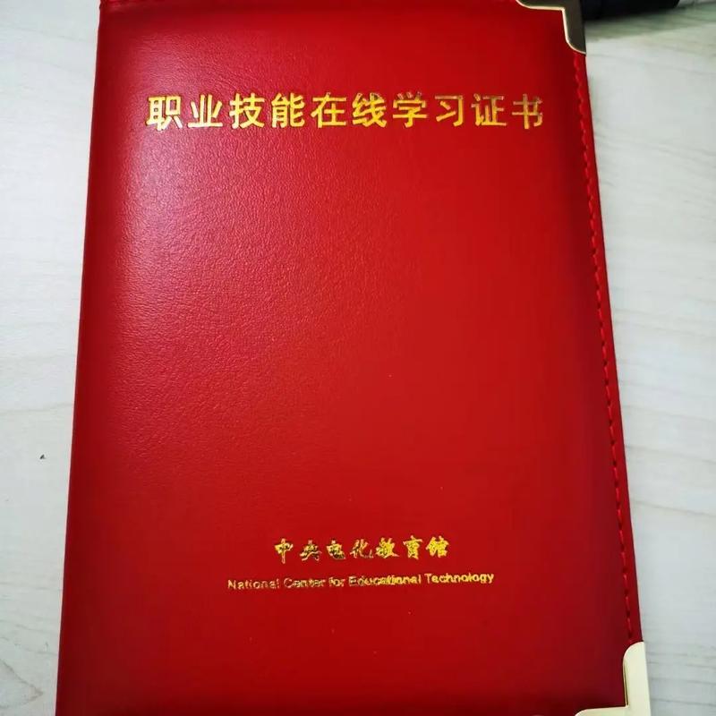 技能学习