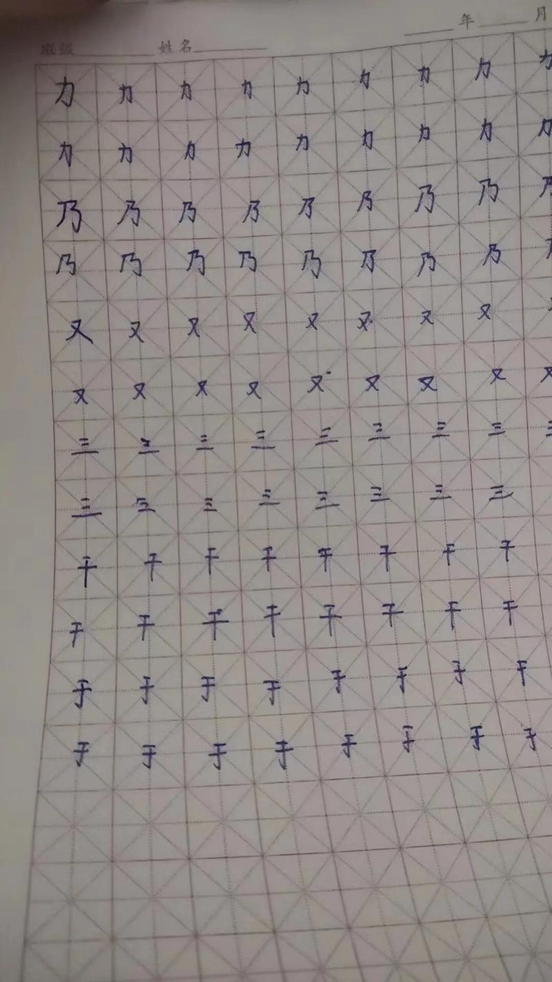 练习和反馈