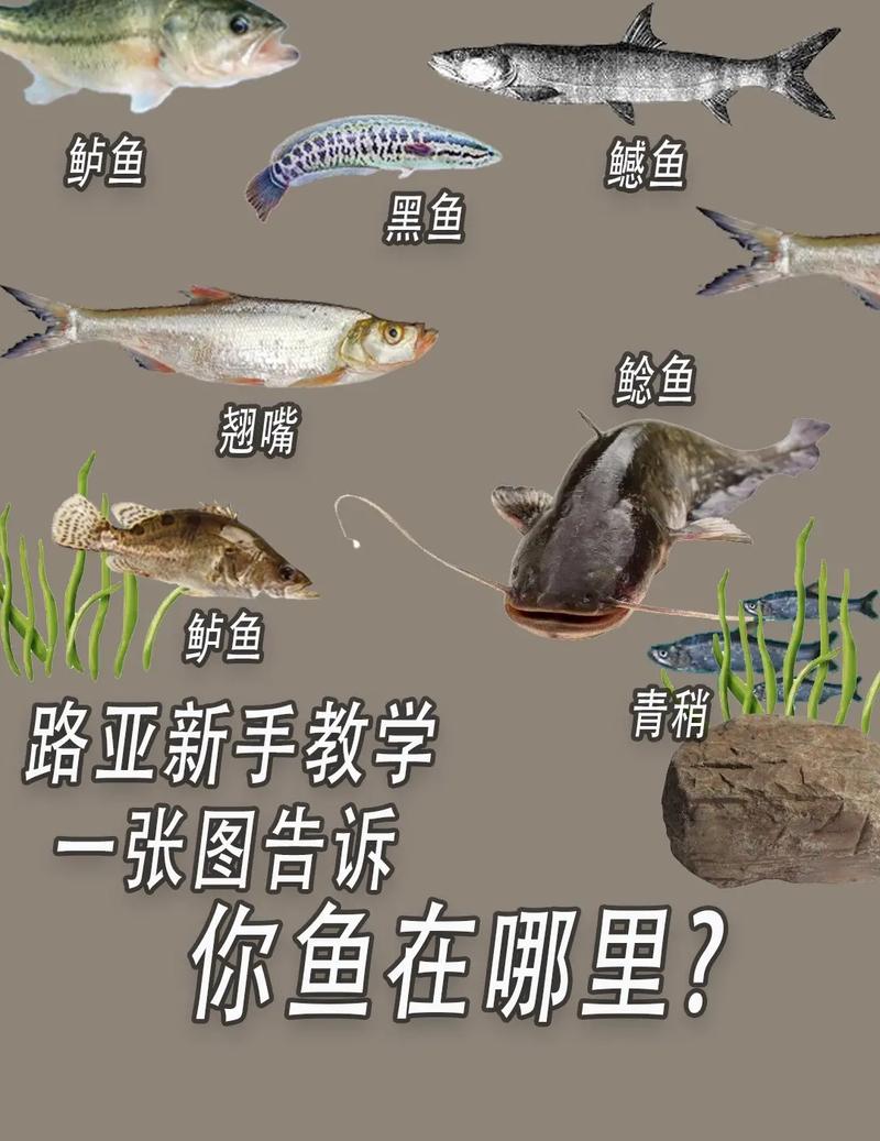 新手入门