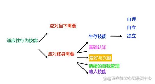 攻略内容丰富，针对性强