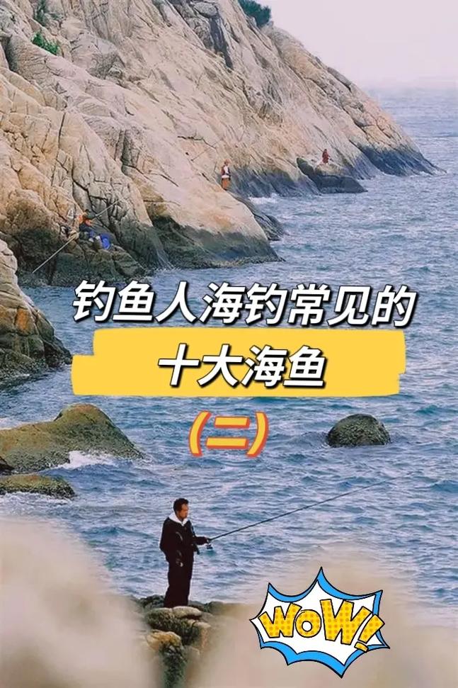 钓鱼技巧