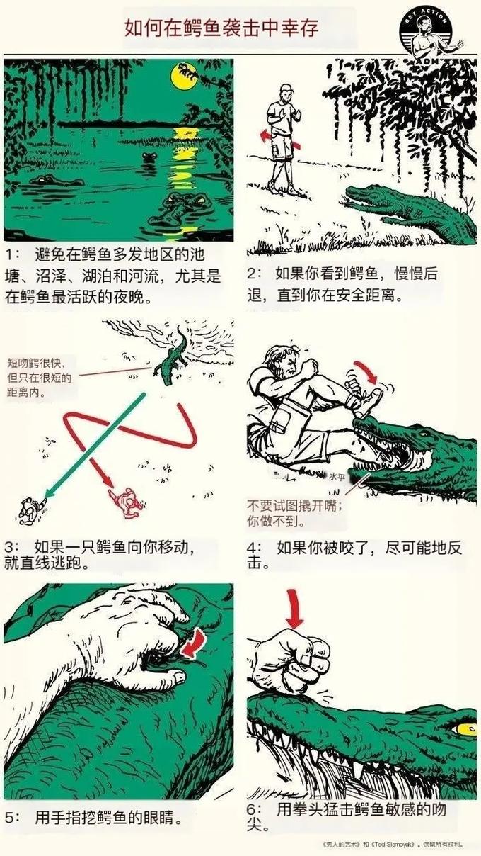 生存技巧