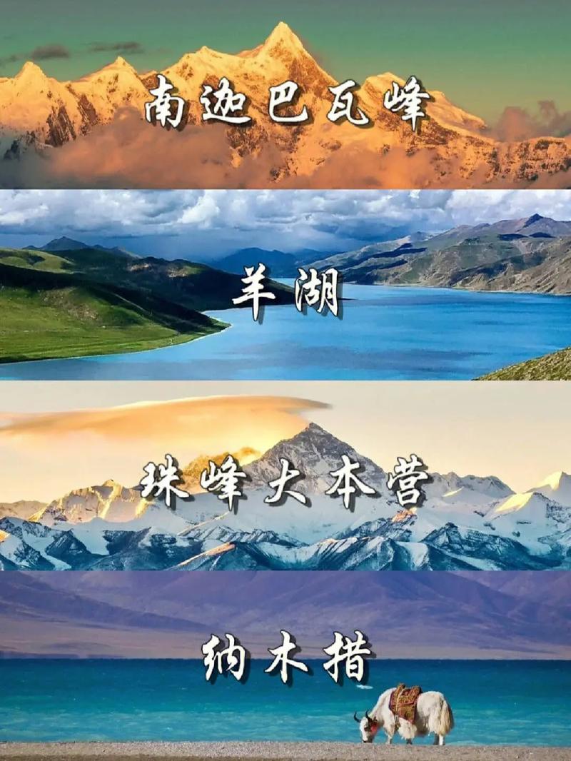 攻略分享