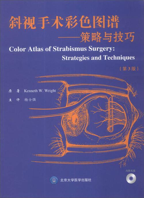 技巧与策略