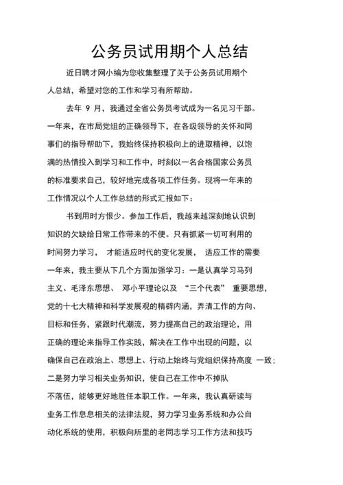 个人结论