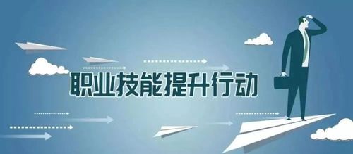 技能提升