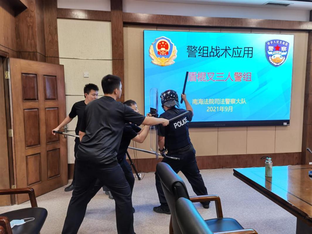 技能和战术运用