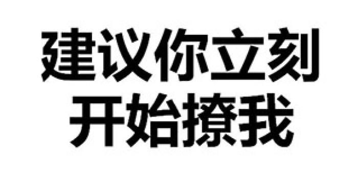 凯特尼斯的选择