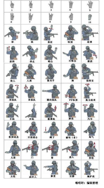 战术建议