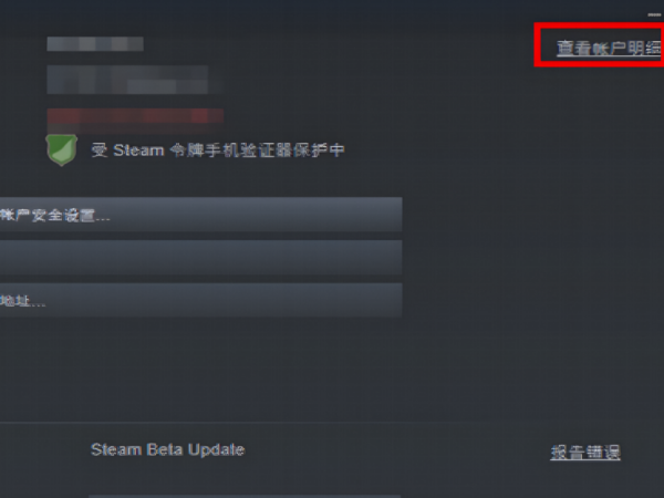 steam怎么隐藏自己拥有的游戏的方法  steam偏好屏蔽怎么关掉